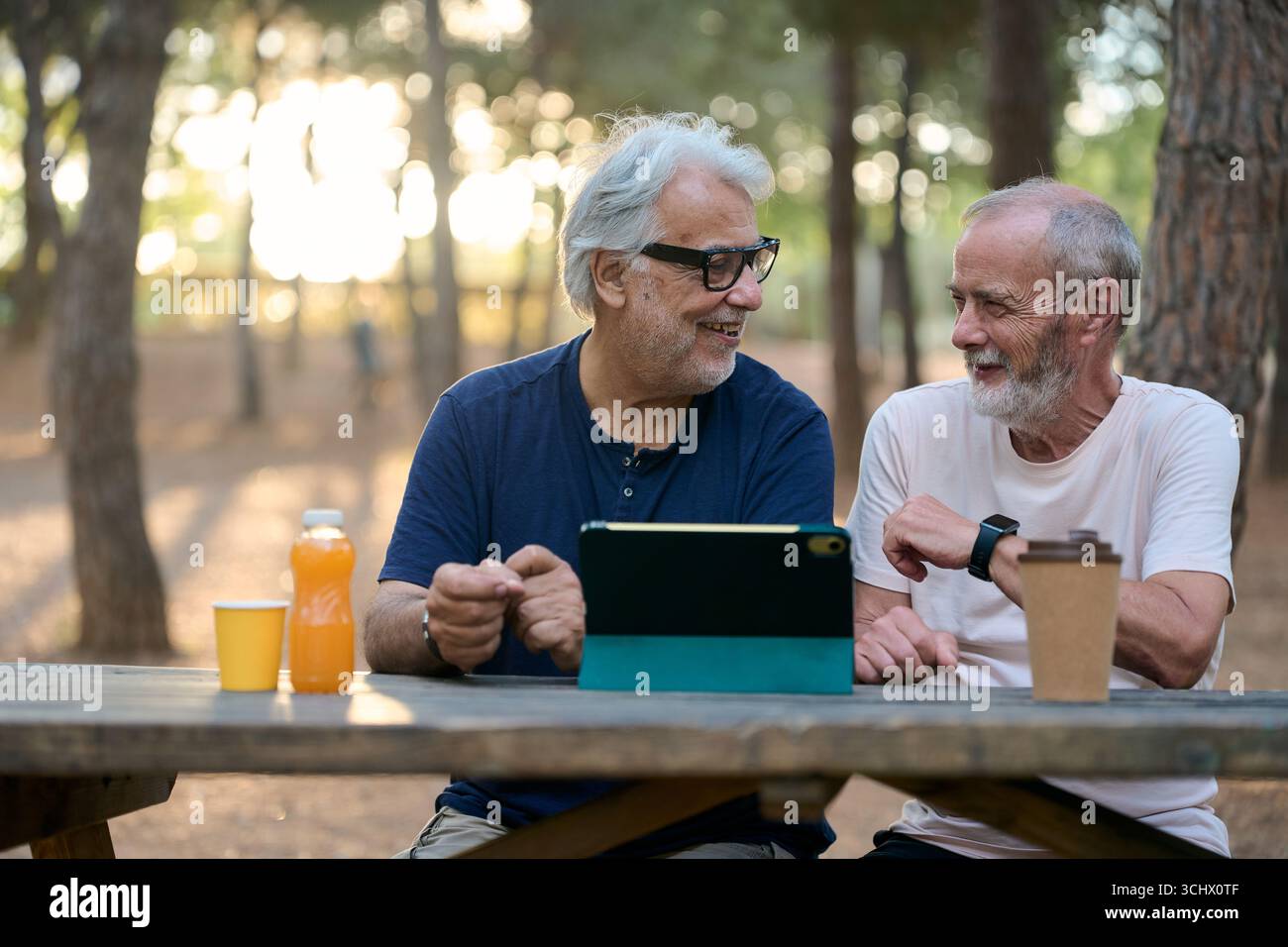 Two senior men using tablet and talking in park Stock Photo