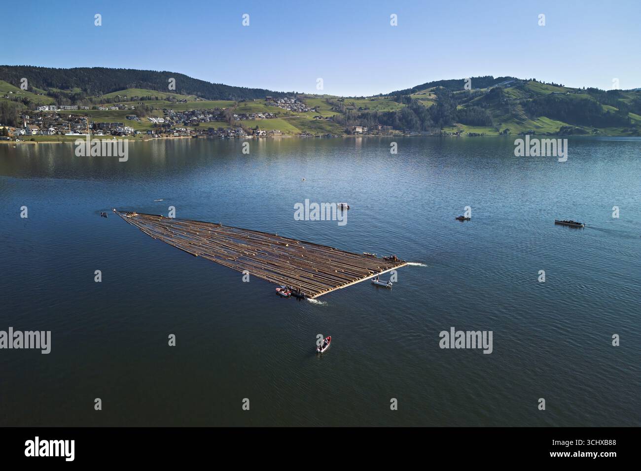 Forestry workers drive a raft of felled tree trunks from the Bergmatt ...