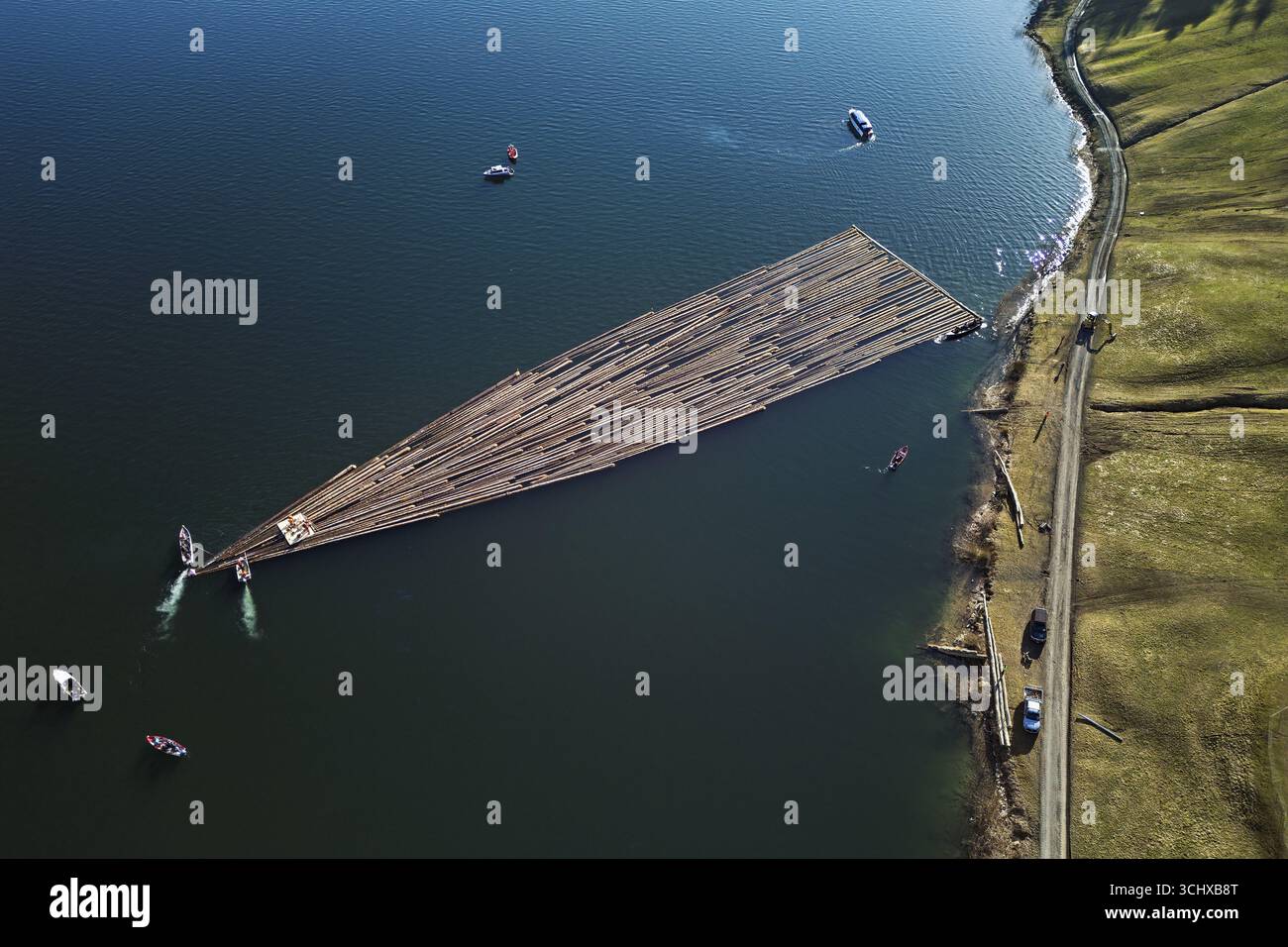 Forestry workers float a raft of felled tree trunks from the Bergmatt ...