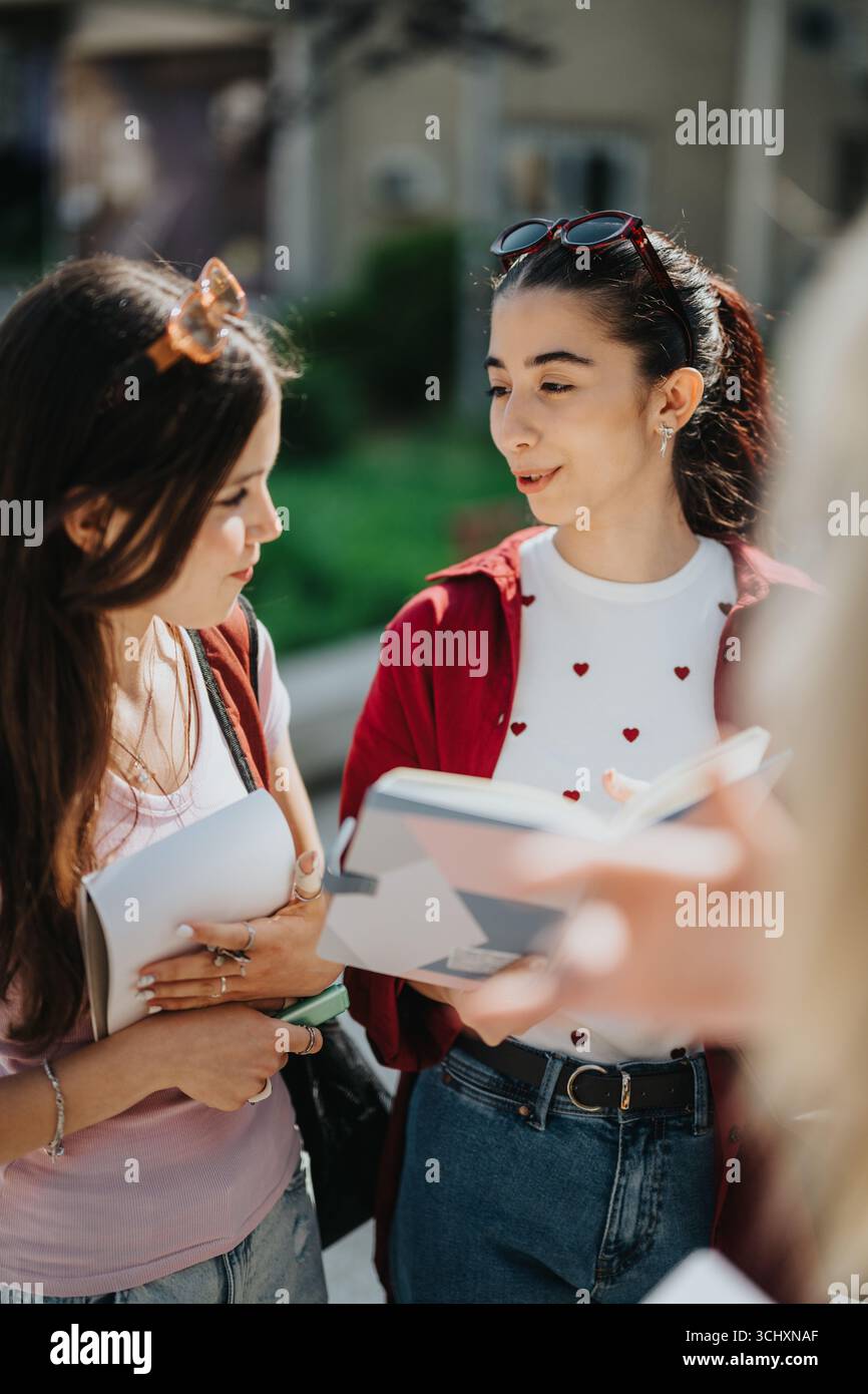 Two students discussing notes and studying outdoors on a sunny day Stock Photo
