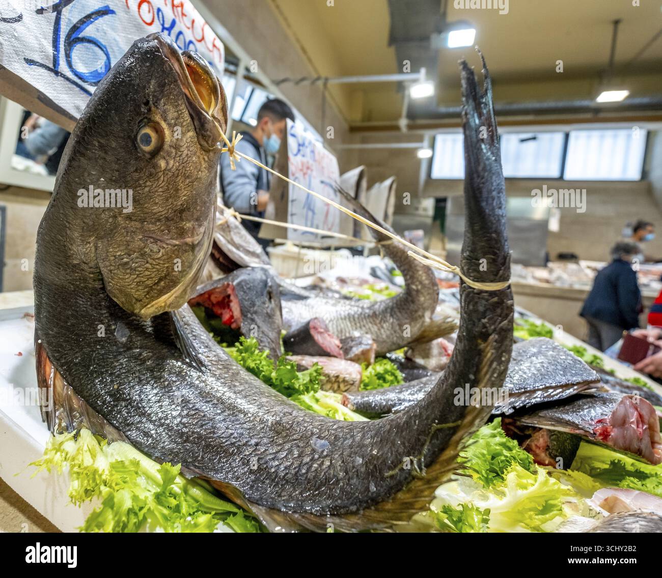 Sardinia fish market hi-res stock photography and images - Alamy, image size:1300x1136
