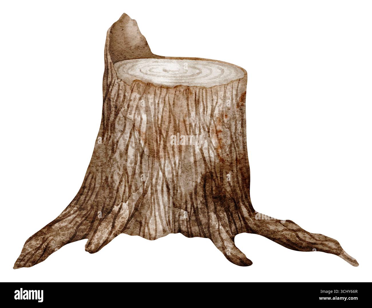 Watercolor tree Stump with roots and bark texture. Illustration of of ...