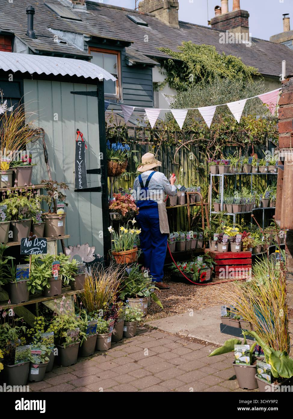 Fi's Yard garden nursery in Lewes East Sussex England UK Stock Photo
