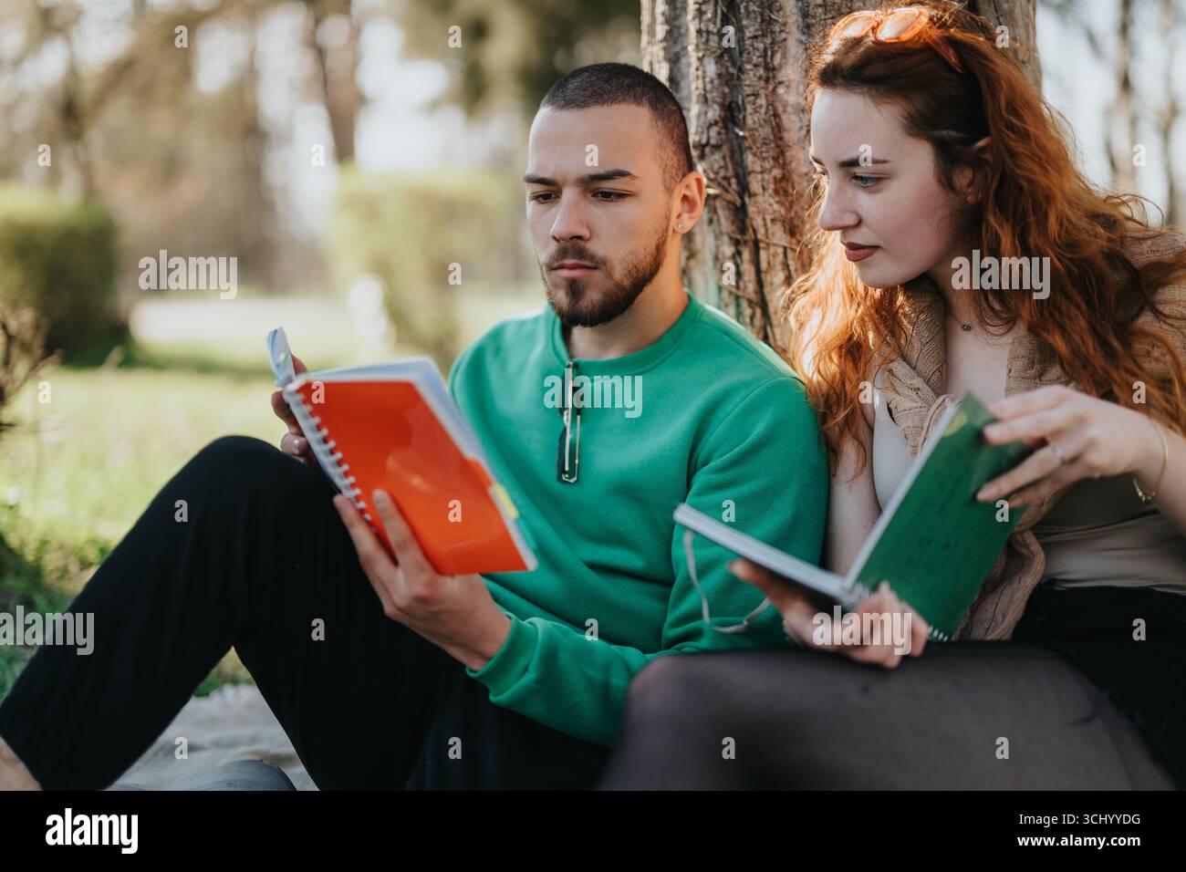 Young couple studying together outdoors under a tree Stock Photo