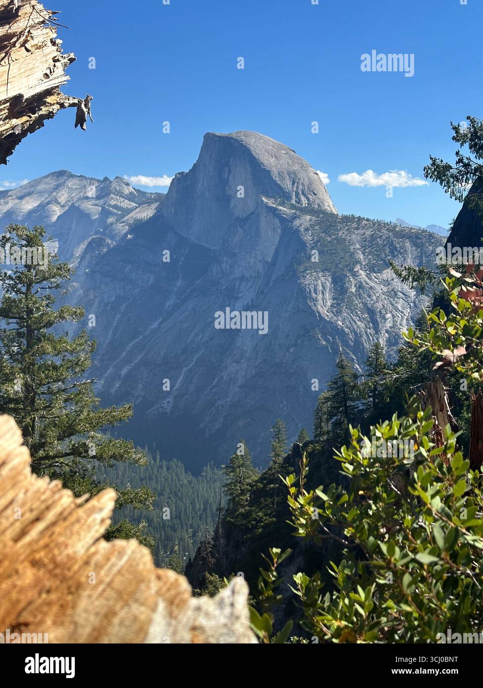 Half Dome in Yosemite - Smartphone Captured Stock Image