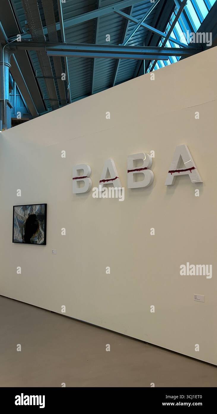 This photo shows a gallery or museum interior with an art installation ...