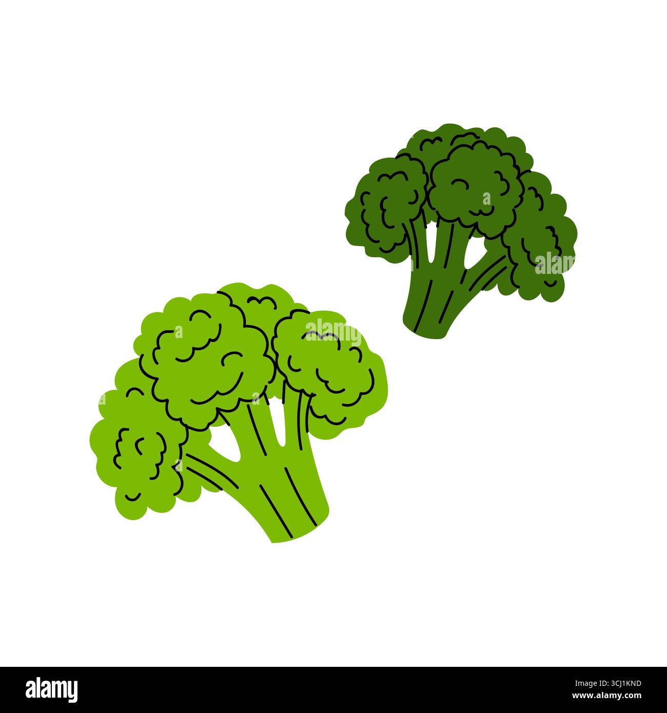 Display of broccoli Stock Vector Images - Alamy