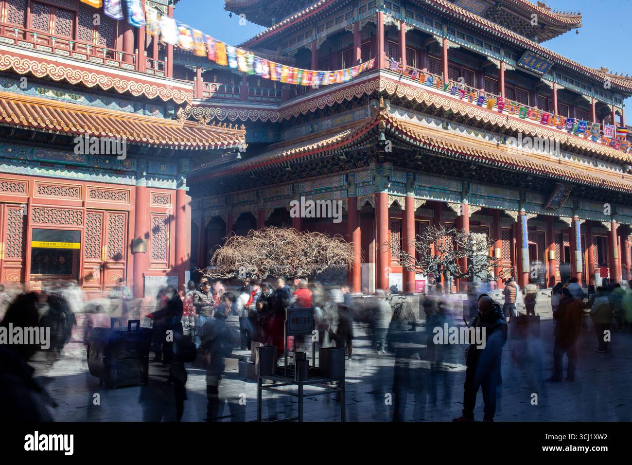 Copyright Stephen Lioy - Photography and Travel Media Stock Photo