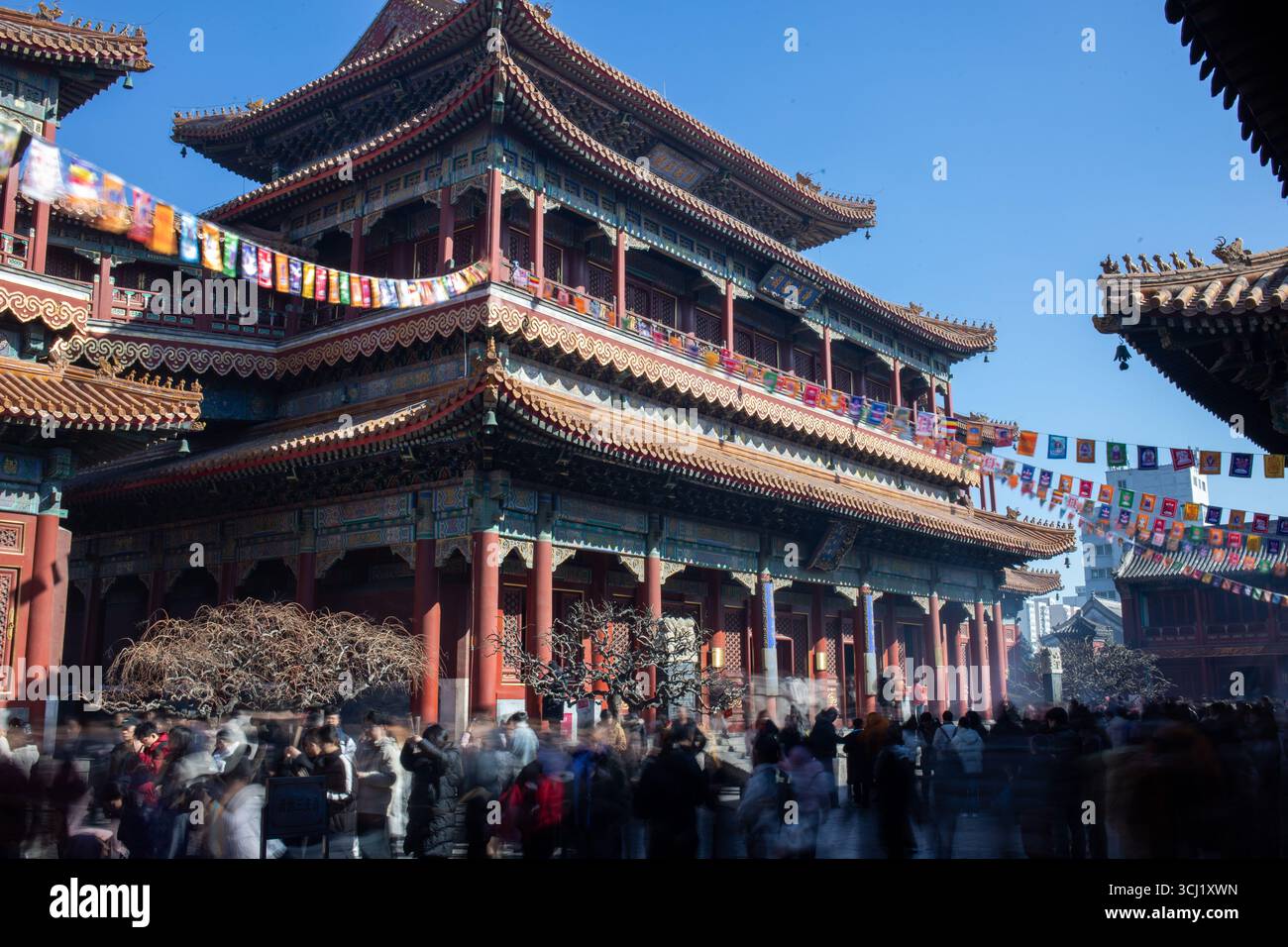 Copyright Stephen Lioy - Photography and Travel Media Stock Photo
