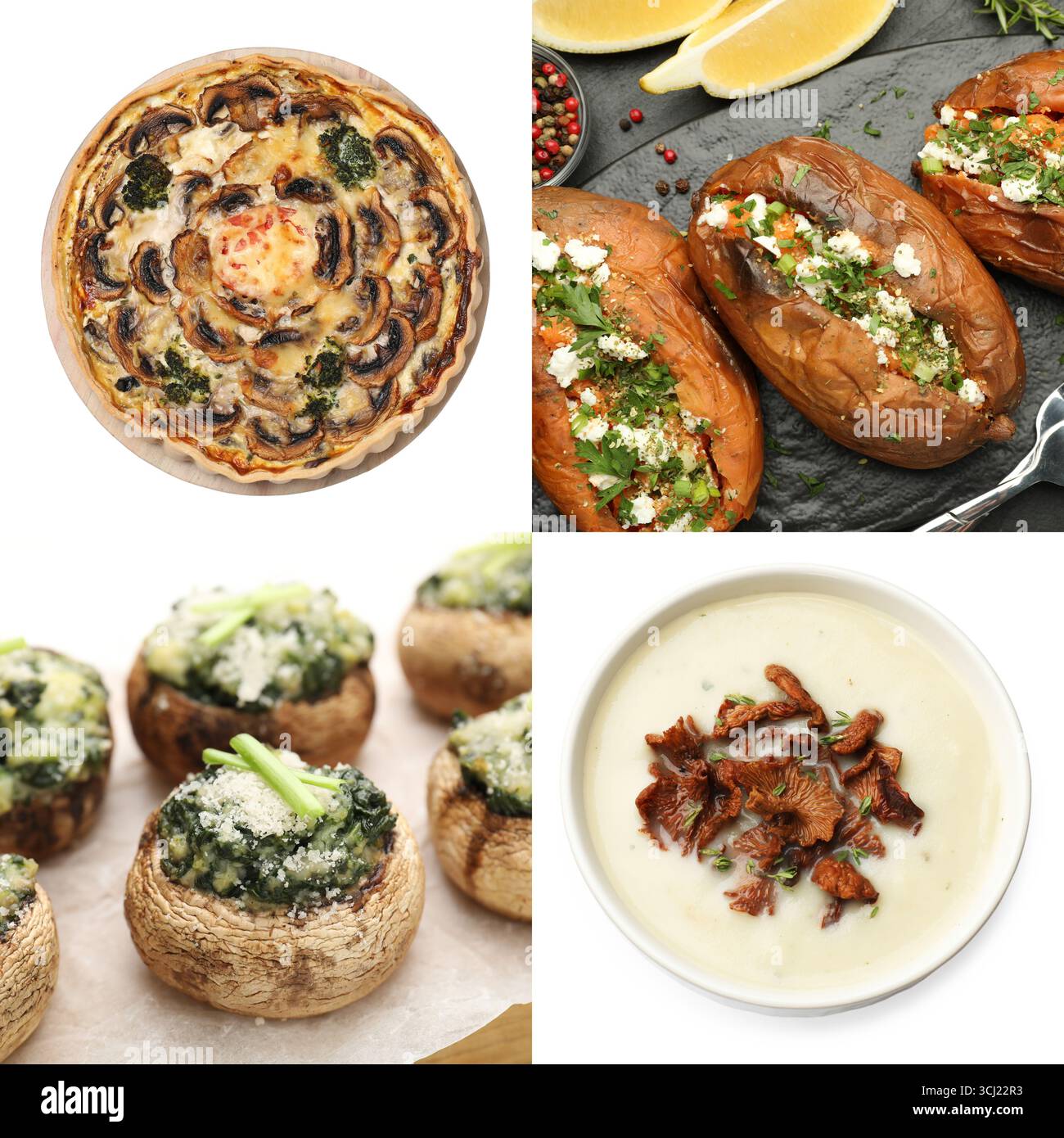 Collection of food products with earthy taste, collage Stock Photo - Alamy