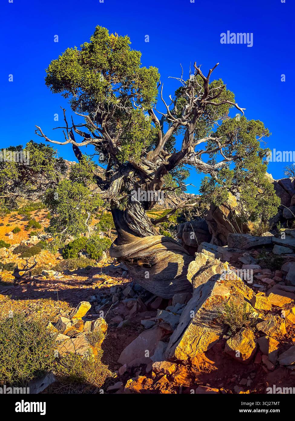 A dramatic image capturing the wild, untamed scenery of Bighorn Canyon at dusk Stock Photo