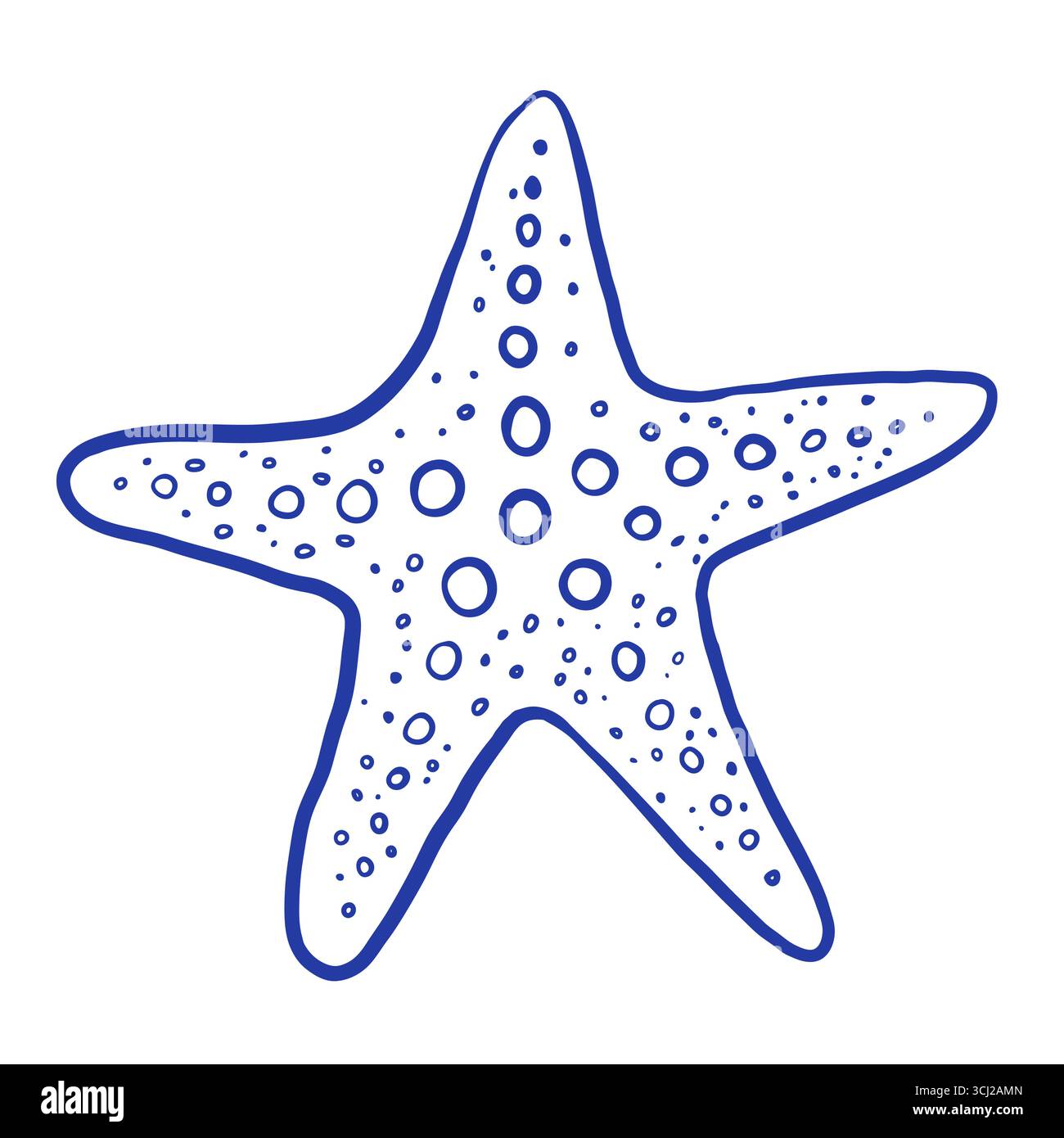 Hand drawn starfish vector illustration Stock Vector Image & Art - Alamy