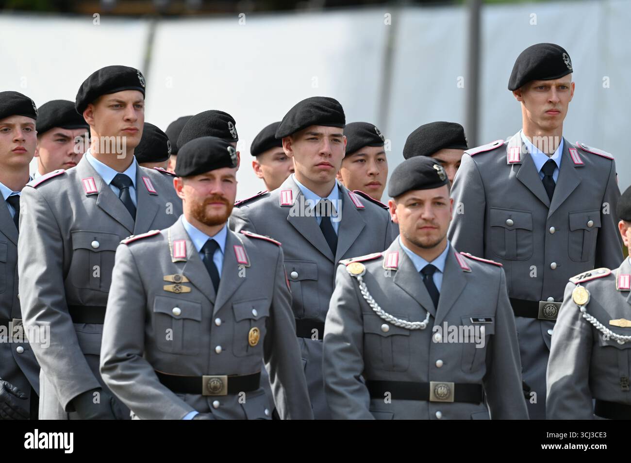 Soldiers march in for the oath of allegiance. Solemn oath of allegiance ...