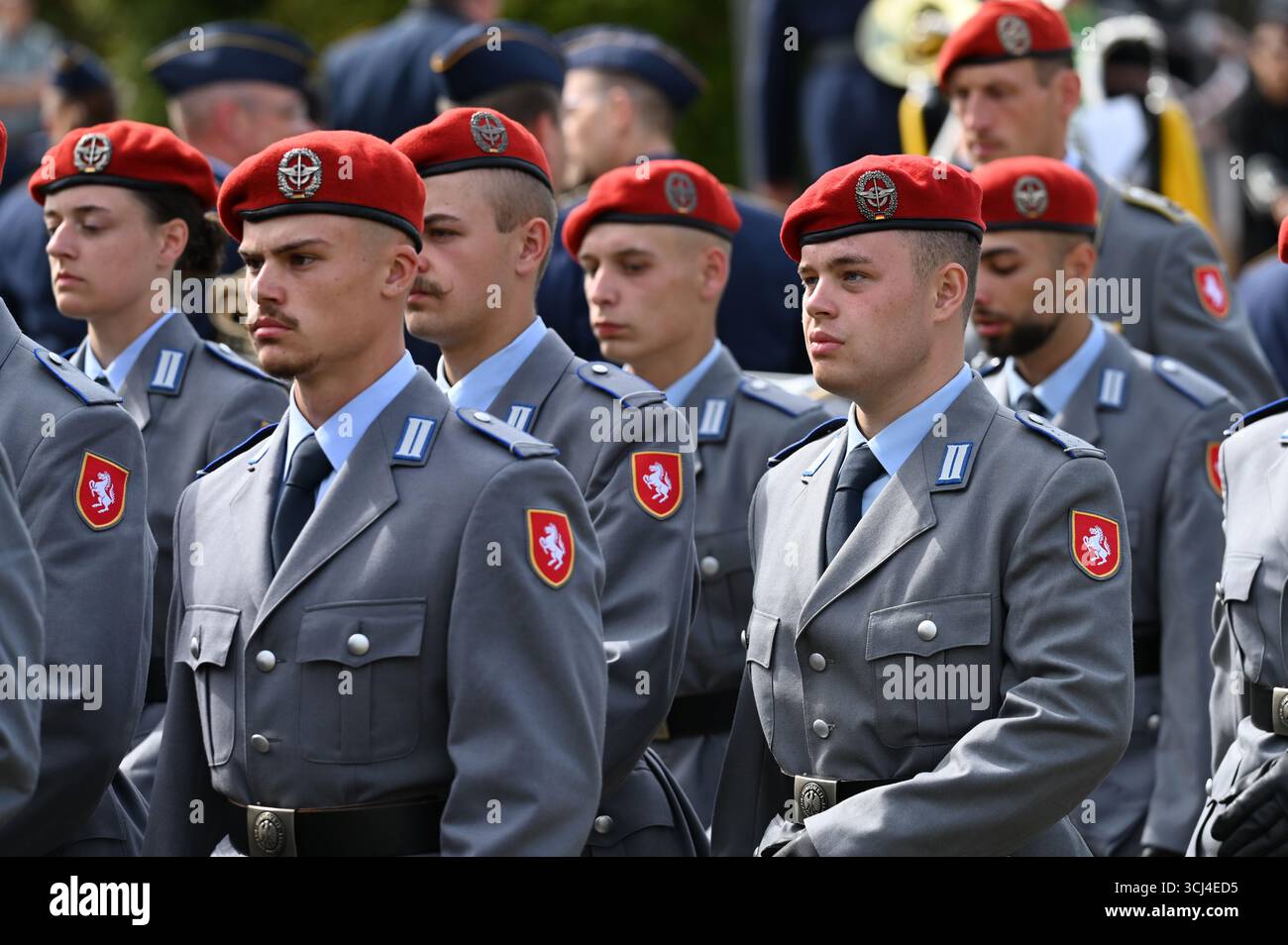 Soldiers march in for the oath of allegiance. Solemn oath of allegiance ...