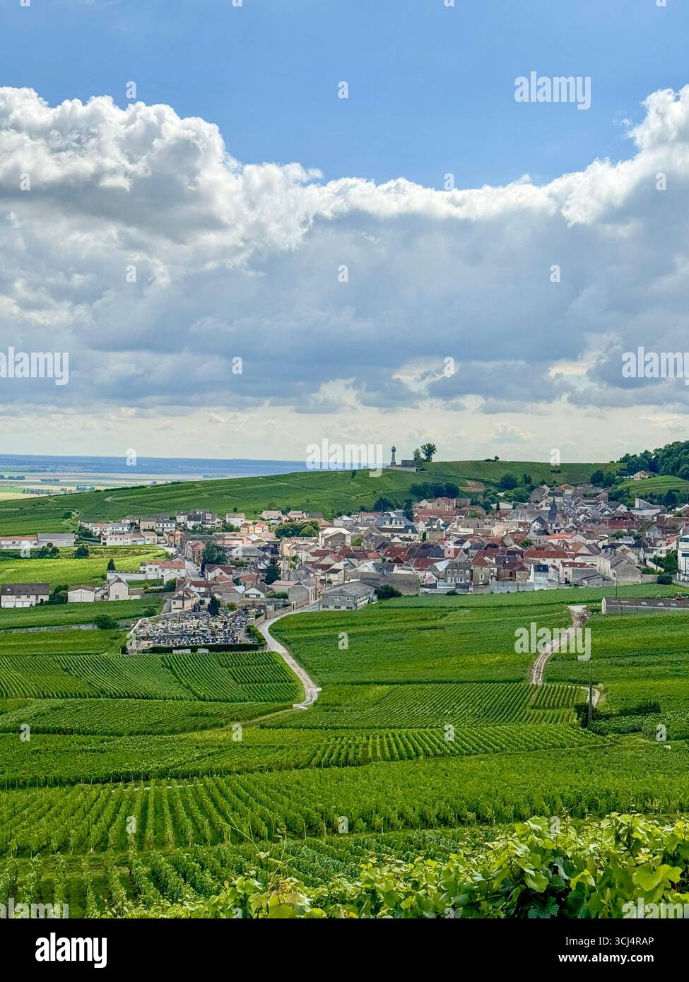 aerial view of Verzenay village surrounded by vineyards with the famous lighthouse on the hill, champagne region, France - Smartphone Captured Stock Image