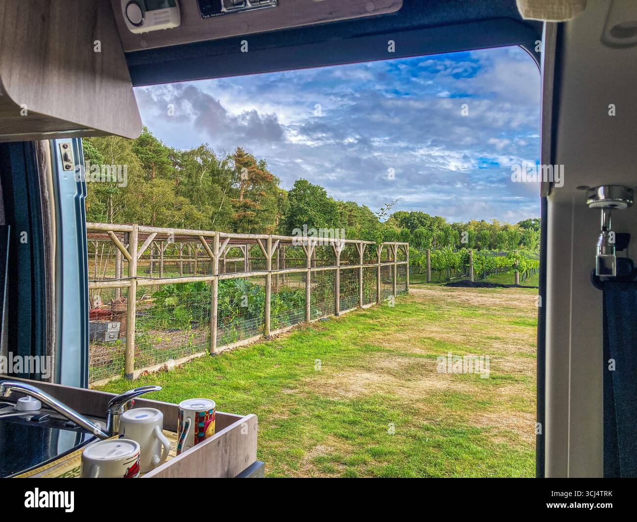 Looking out of the Habitation Door of a Motorhome, at Setley Ridge Vineyard,  Brockenhurst,  in the heart of the New Forest National Park - Smartphone Captured Stock Image