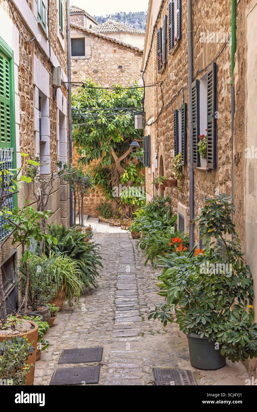 Pot plants outside house hi-res stock photography and images - Alamy