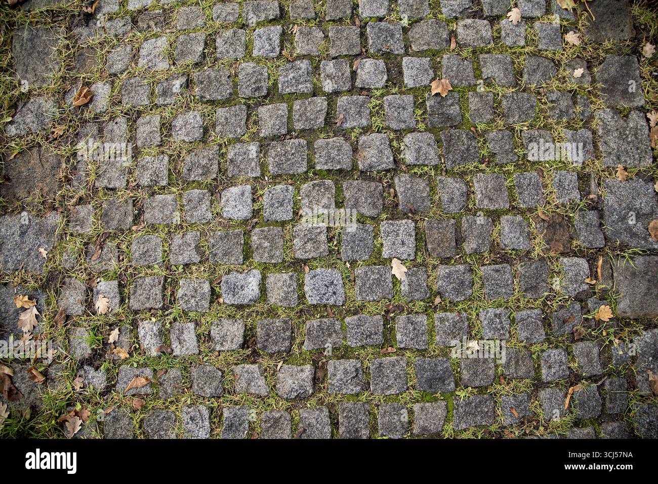 Old Gray Cobbled Stones Rural Road Texture Stock Photo