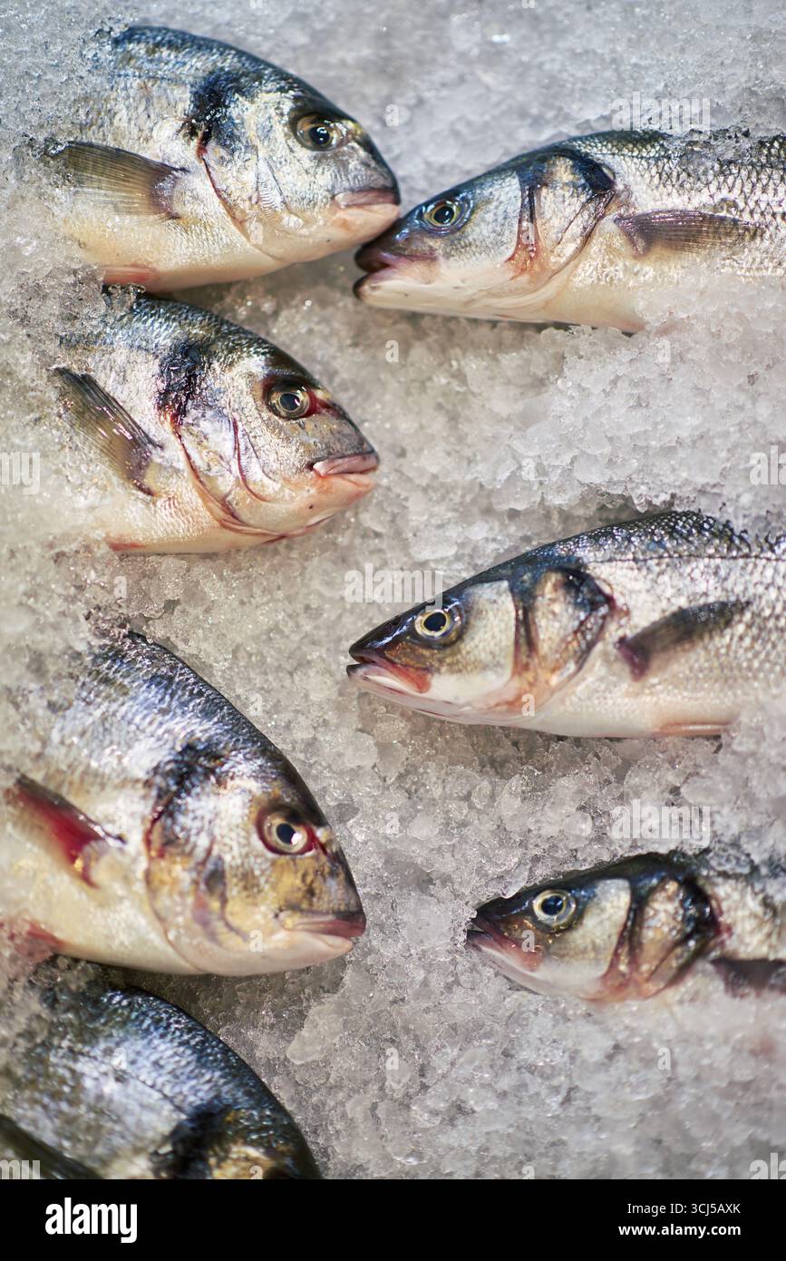 Fish Scale Rows Shiny fish scales hi-res stock photography and images - Alamy