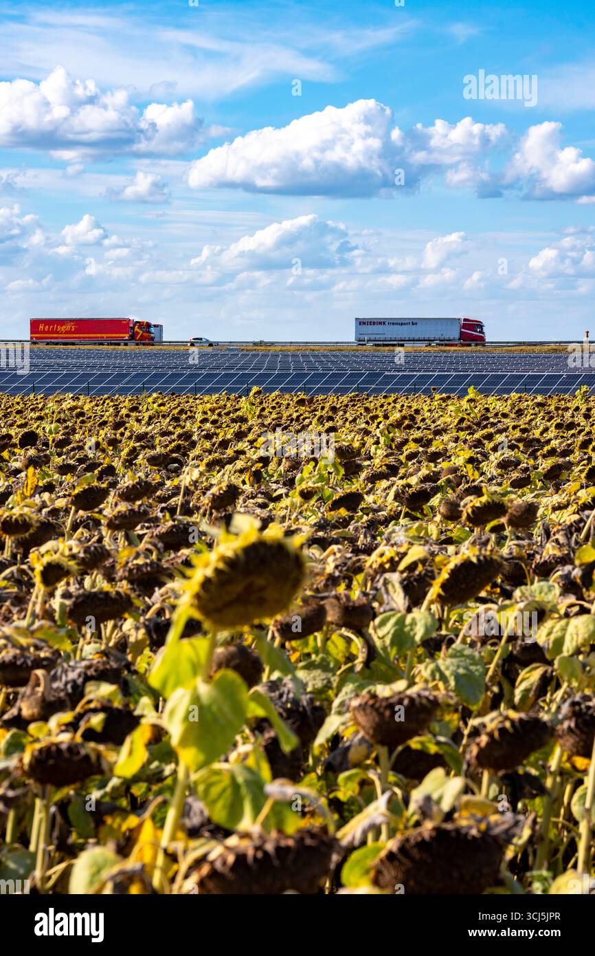Solar panels field near road hi-res stock photography and images - Alamy