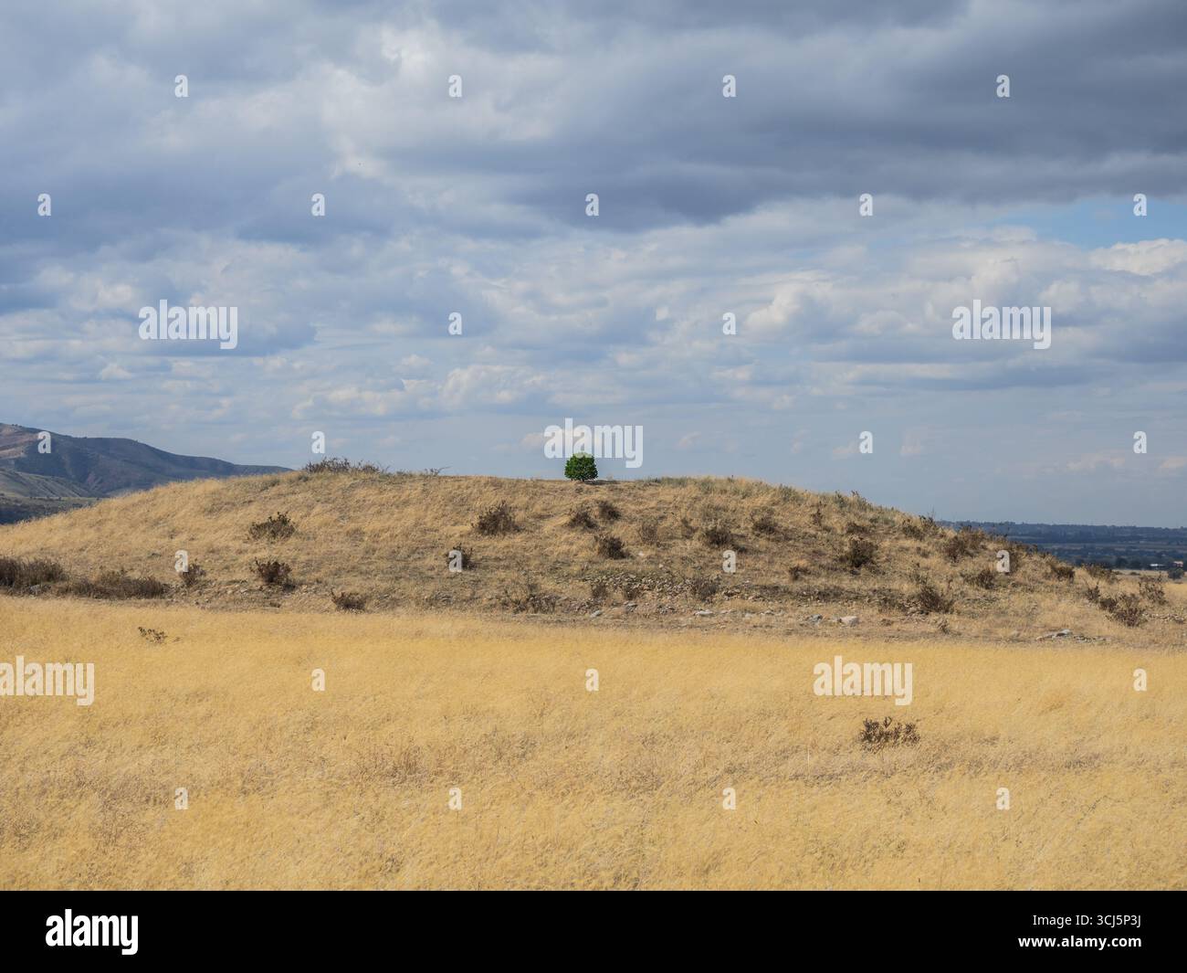 Seks porno qizlar com