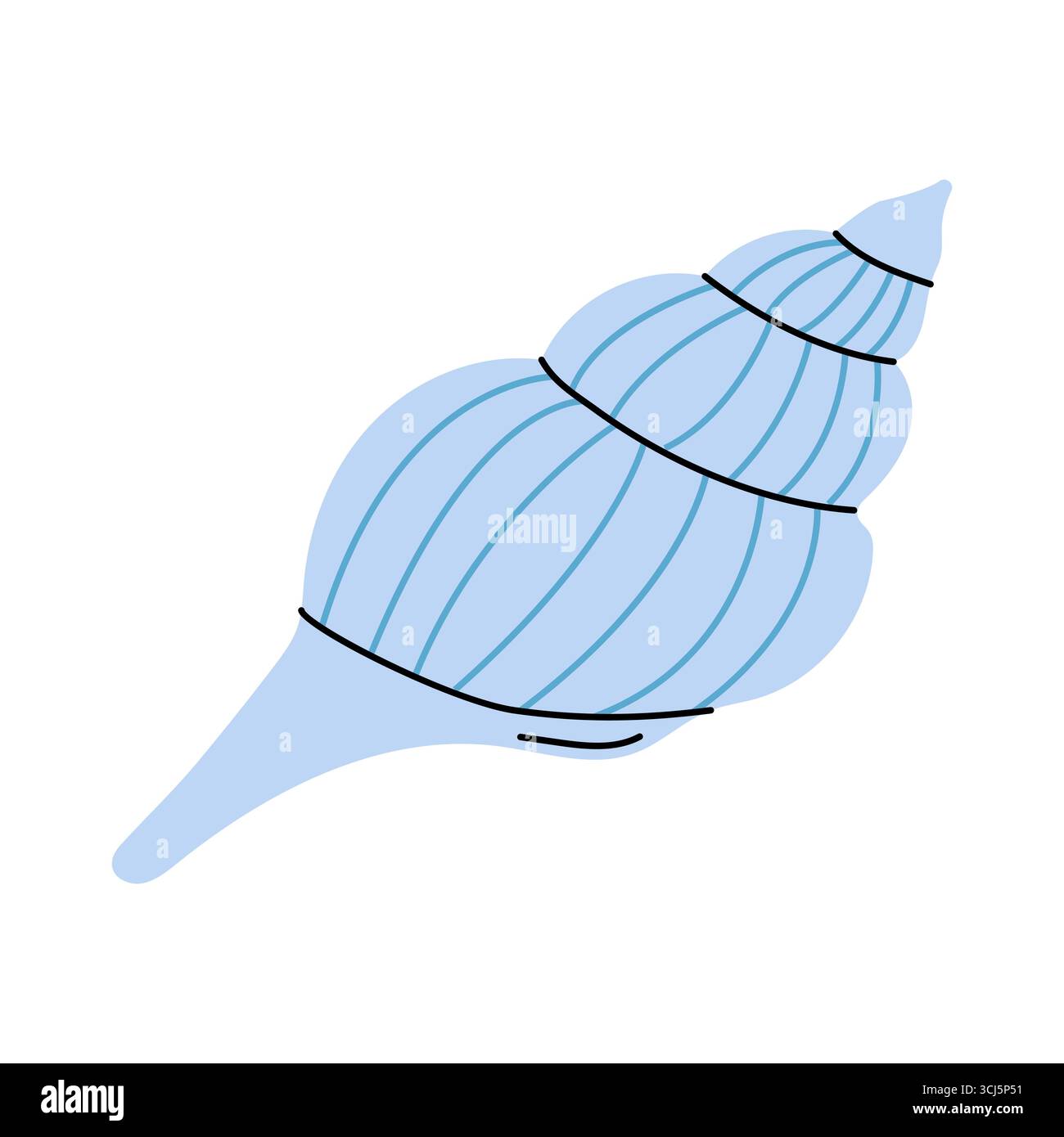 A light blue conch shell curves to a point at the top, with a rounded ...