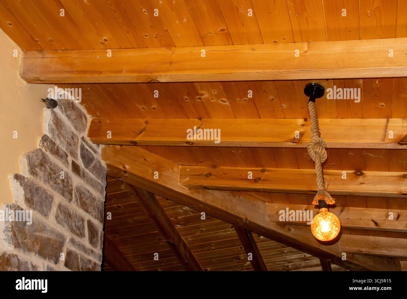 Pequeño pájaro de plumaje marrón posado en la esquina de una pared de piedra bajo un porche de  madera dentro de una construcción rústica para dormir. Stock Photo