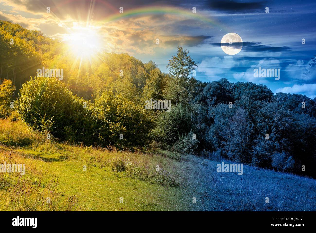 forest on the hill in rural area in mountains on autumn equinox. day and night time change concept. deciduous trees near grassy meadow in september wi Stock Photo