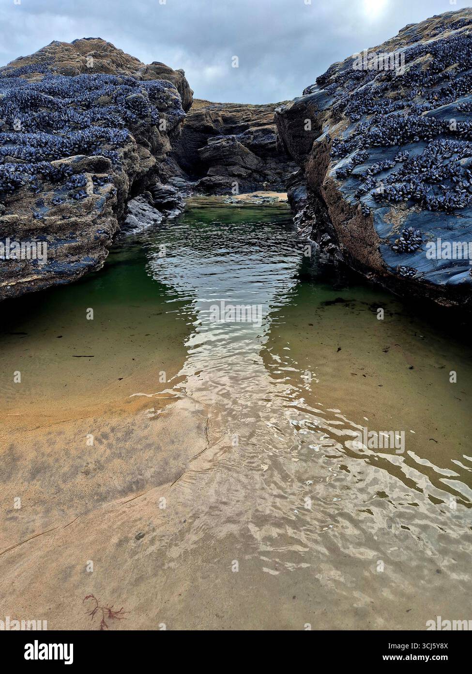 The sheep dip tidal pool Cornwall - Smartphone Captured Stock Image