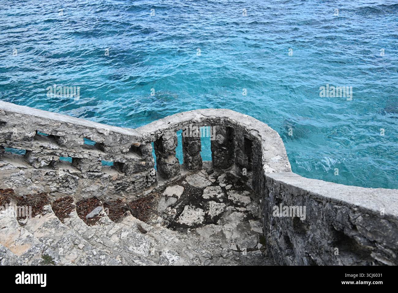 Bonaire caribbean cactus blue hi-res stock photography and images - Alamy