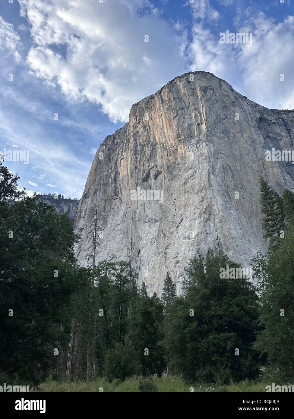 El Capitan, the towering granite monolith of Yosemite National Park, California, rising above the pine forest under a partly cloudy sky. - Smartphone Captured Stock Image