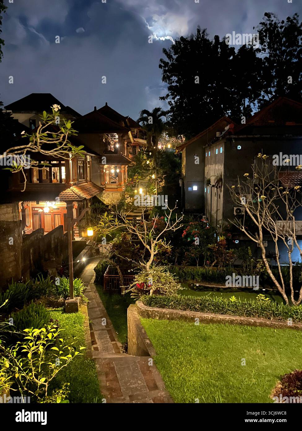 Tropical garden at night - Ubud - Bali - Indonesia - Smartphone Captured Stock Image