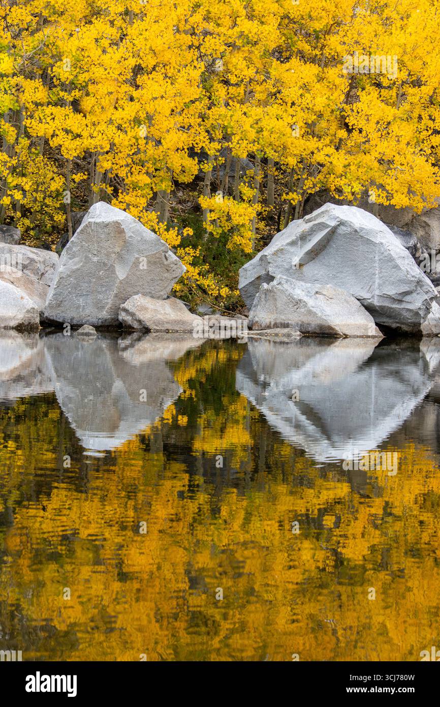 Beautifully calming autumn reflections in the Eastern Sierra mountains. Stock Photo