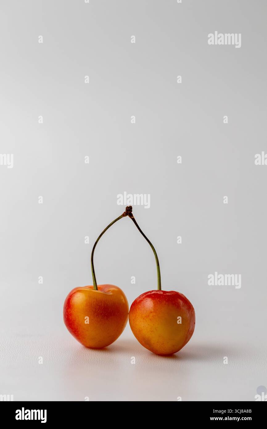 two Rainier Cherries on a white background, vertical image with copyspace Stock Photo