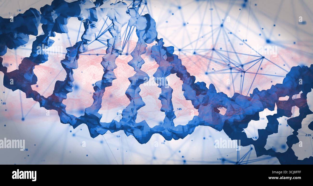 Showing DNA double helix twisting in virtual space, with network lines nodes numeric data labels Stock Photo