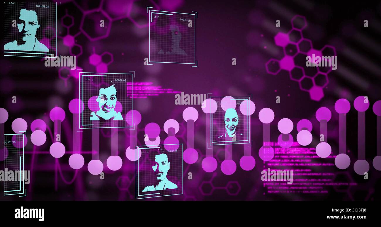Displaying stylized DNA helix composed of magenta dots on virtual interface, with headshot frames Stock Photo