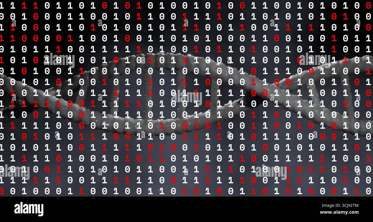 Featuring 3D double-helix strand over digital backdrop, showcasing white and red binary code Stock Photo