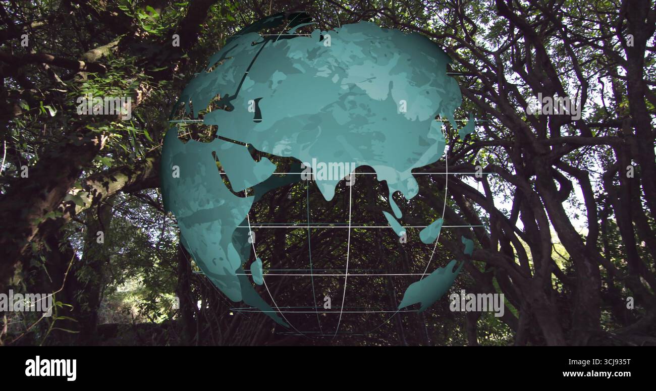 Displaying semi-transparent digital globe overlay hovering over forest, with latitude grid lines Stock Photo
