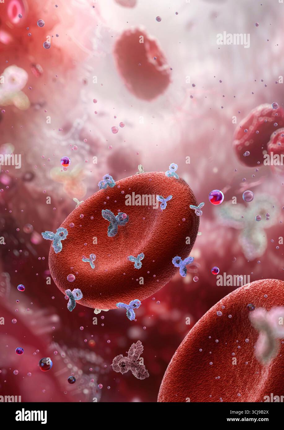 Rhesus positive and negative red blood cells hi-res stock photography ...