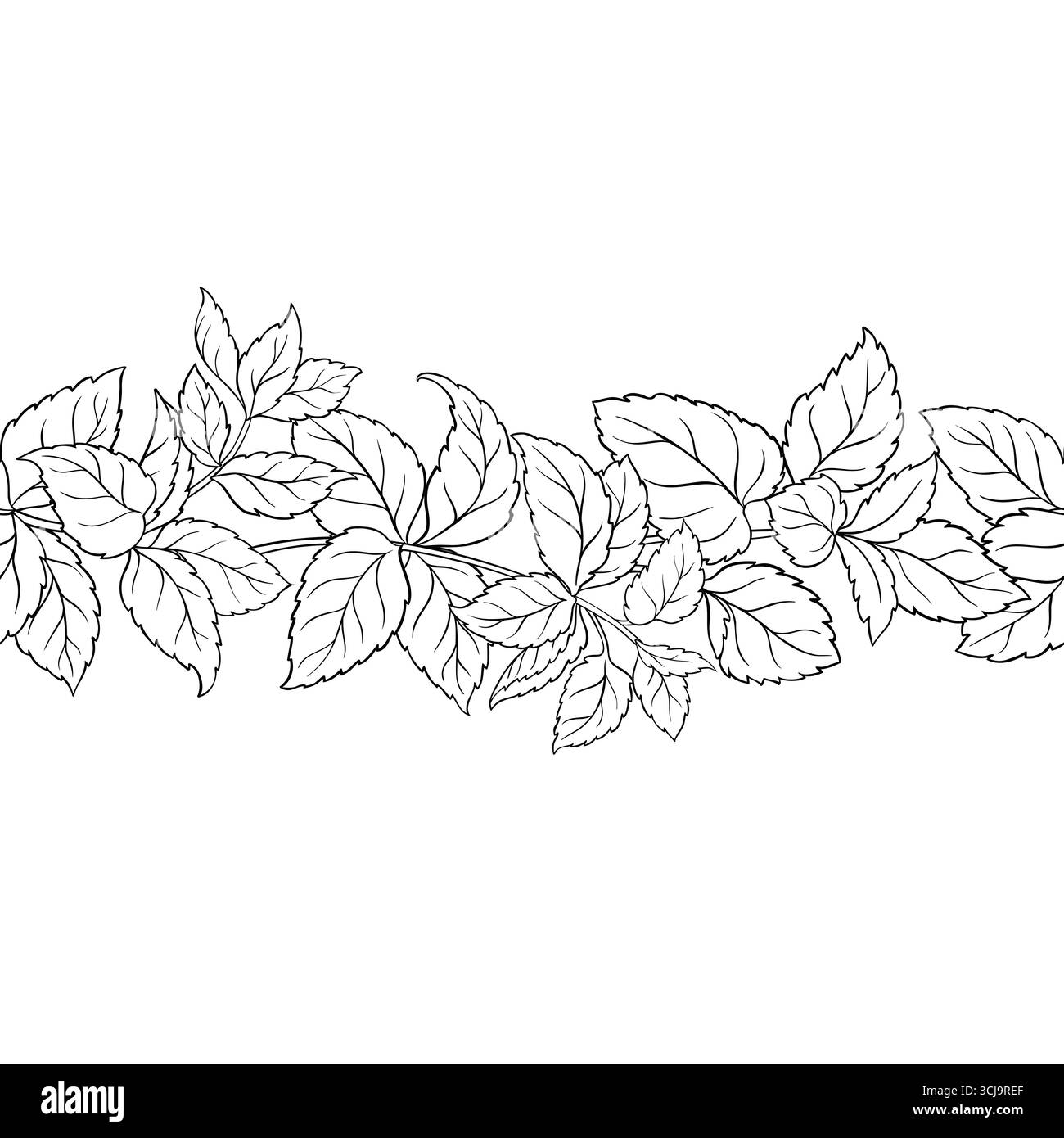 Melissa Outline Horizontal Seamless Pattern Stock Vector Image & Art ...