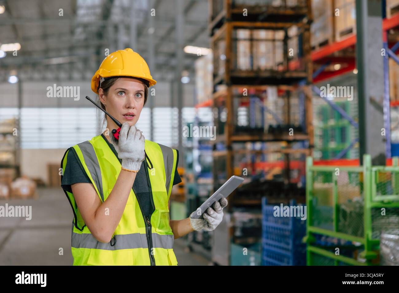 women engineer, warehouse worker, professional supervisor working ...