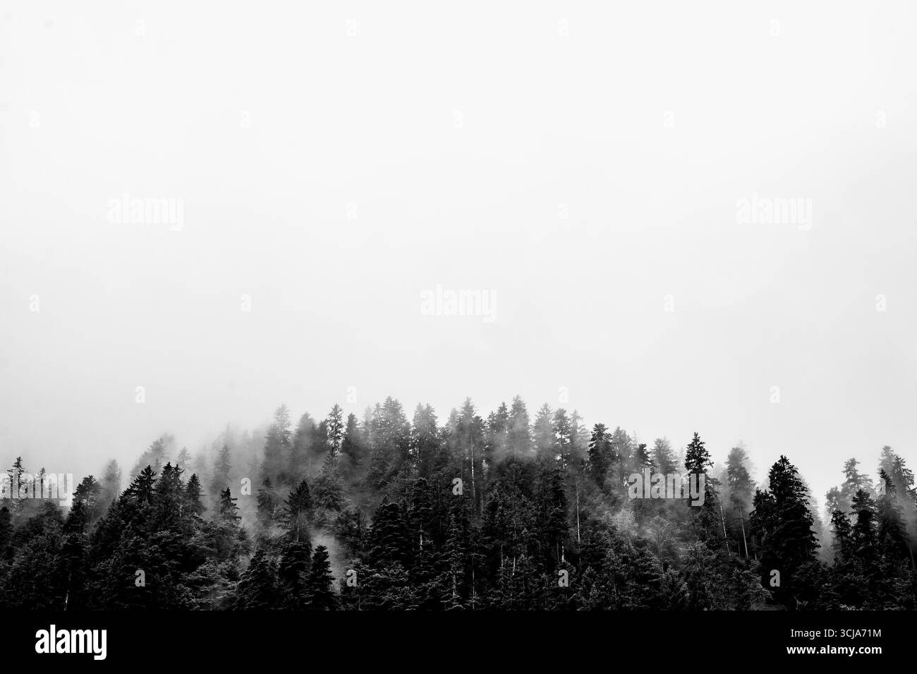 Dense misty air Black and White Stock Photos & Images - Alamy