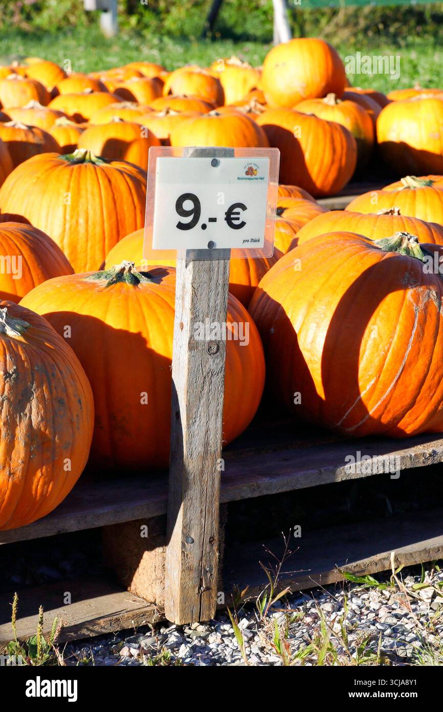 05.09.2025, Linz, AUT, Unterwegs in Oberösterreich, Symbolbild ...