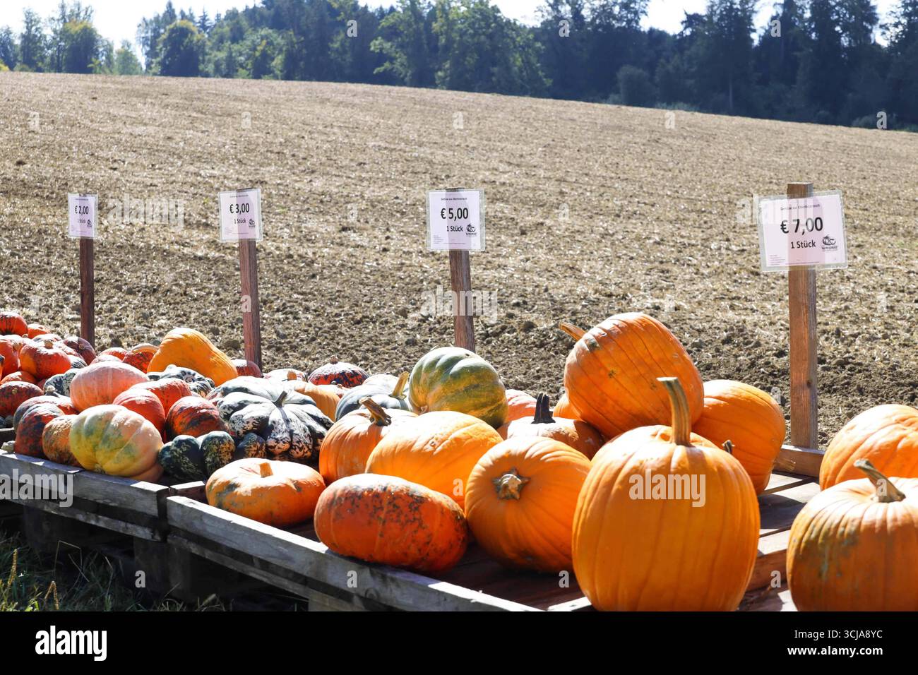 05.09.2025, Linz, AUT, Unterwegs in Oberösterreich, Symbolbild ...