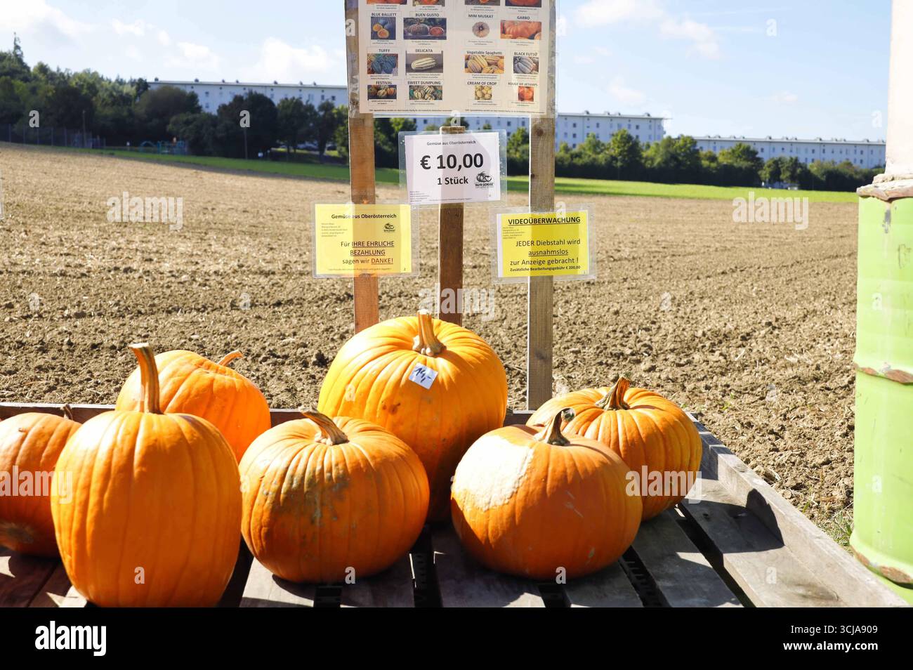 05.09.2025, Linz, AUT, Unterwegs in Oberösterreich, Symbolbild ...