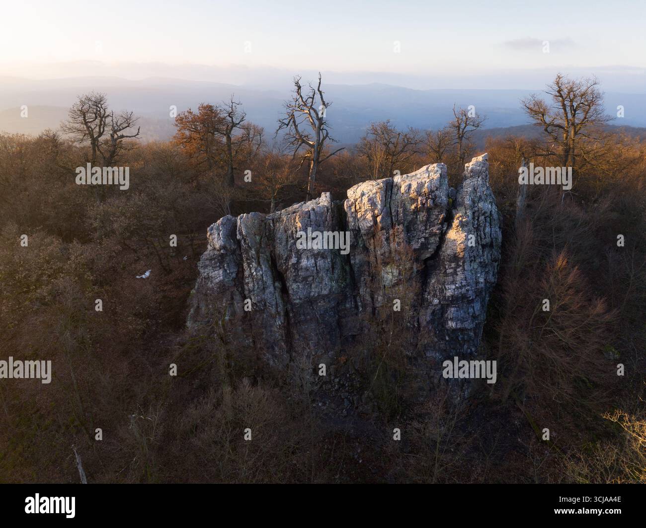 Alone rock in autum forest Stock Photo