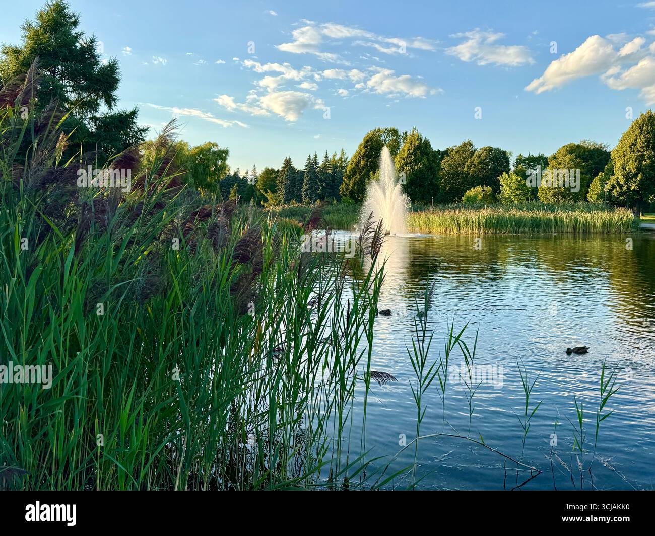 Jarry Park, Villeray, Montreal, Canada - Smartphone Captured Stock Image