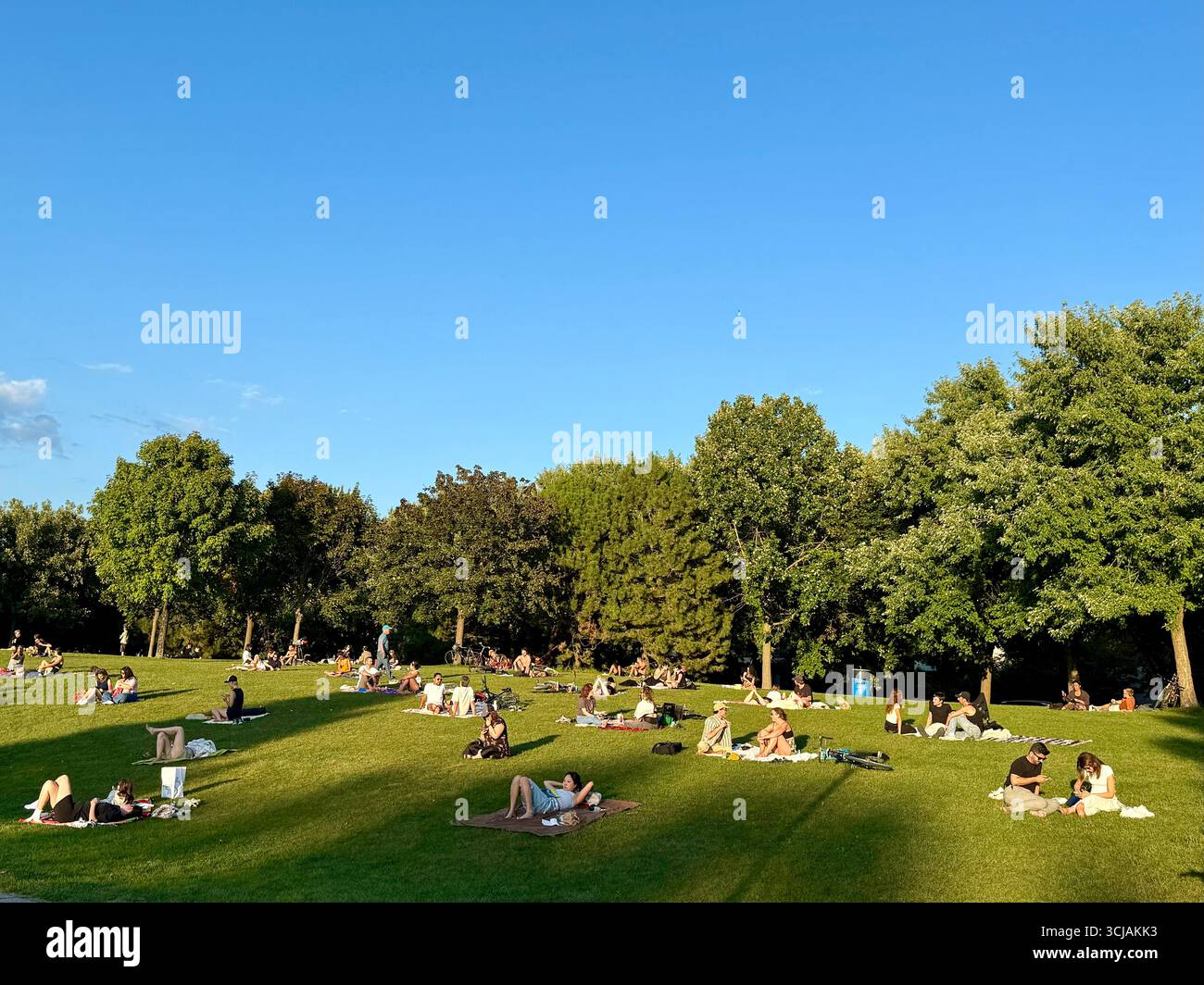 Jarry Park, Villeray, Montreal, Canada - Smartphone Captured Stock Image