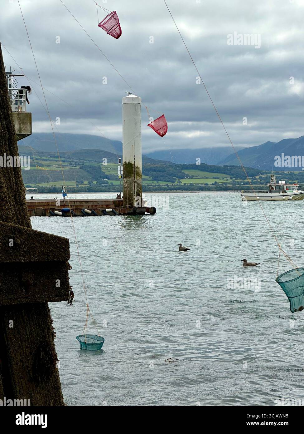 People fishing for crabs at Beaumaris Pier, Beaumaris, Anglesey, Wales - Smartphone Captured Stock Image