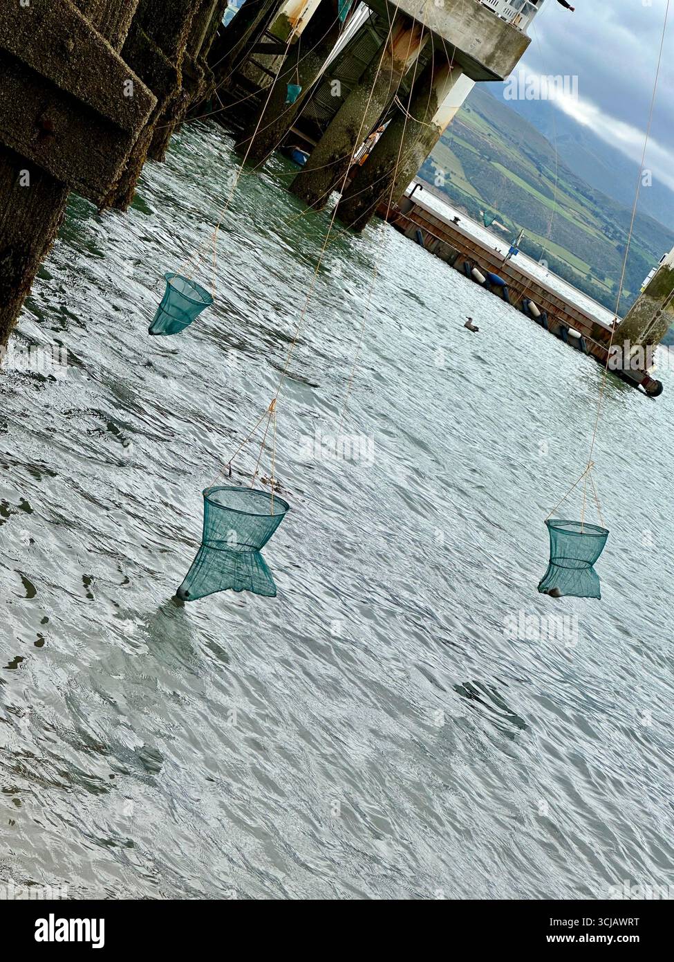 People fishing for crabs at Beaumaris Pier, Beaumaris, Anglesey, Wales - Smartphone Captured Stock Image
